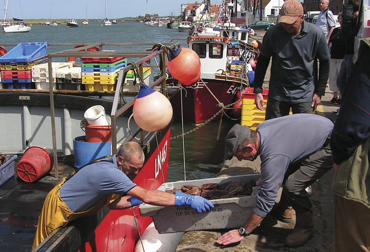 Fishermen loading their catch on the quay at Wells